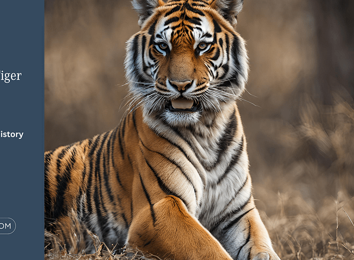 International Tiger Day 2024